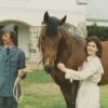 North American Trakehner Association - Image 2